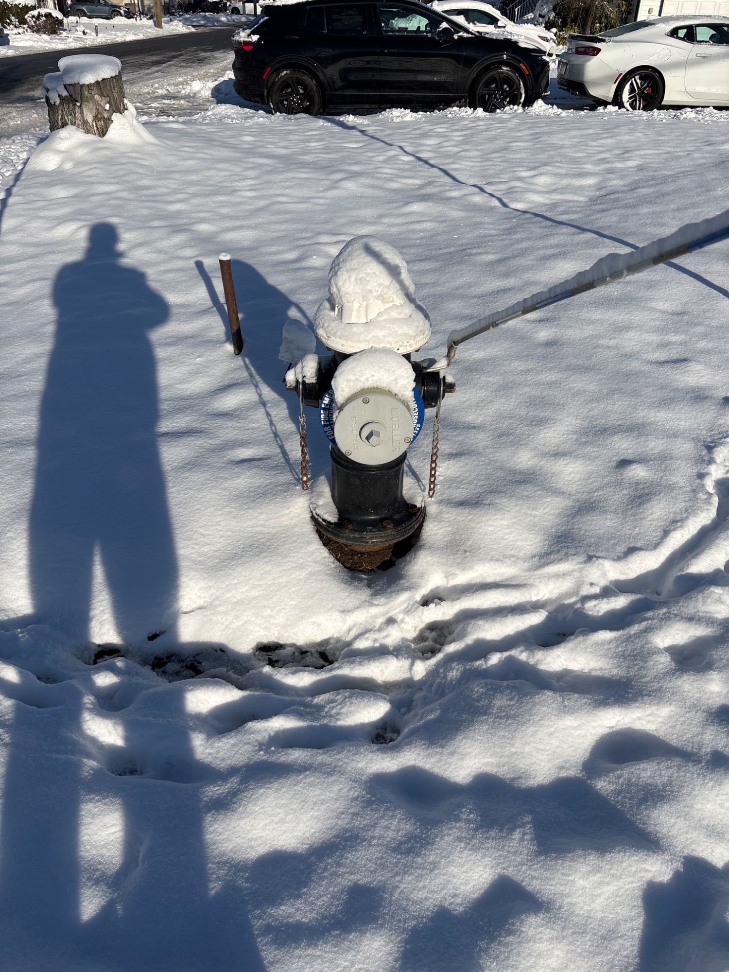Fire Hydrant - Little Falls, NJ